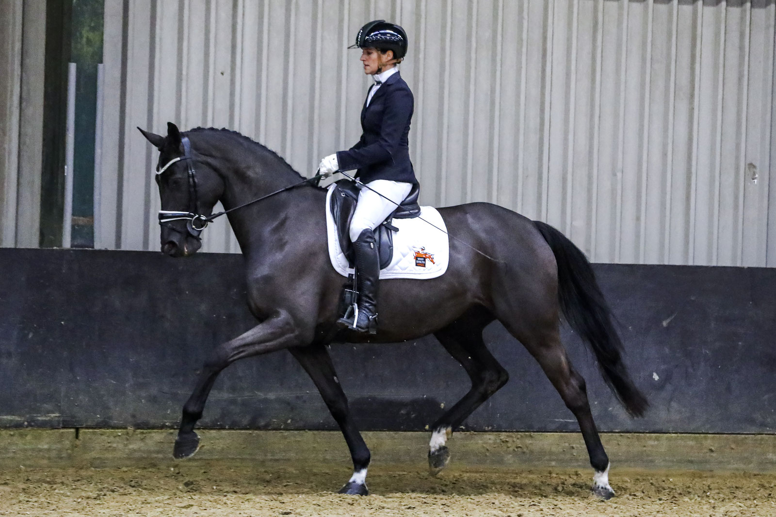 Wendy Scholten riding