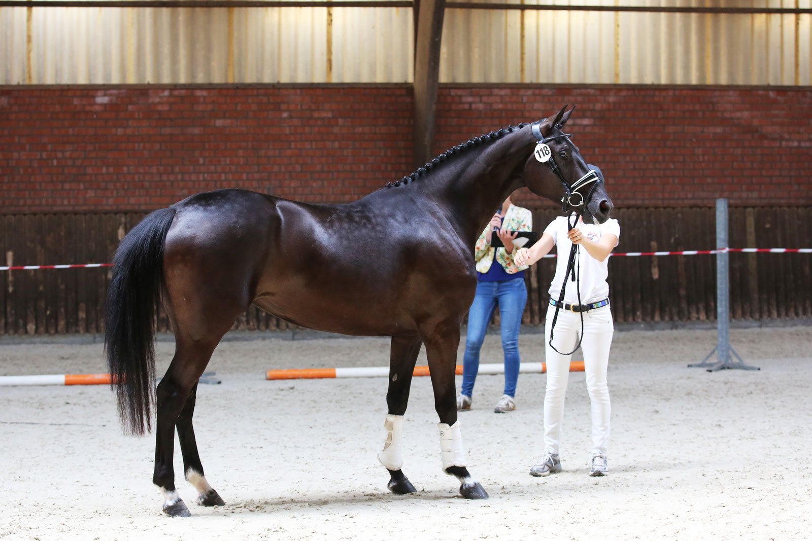 Reserve champion showjumping Gelderland/Flevoland