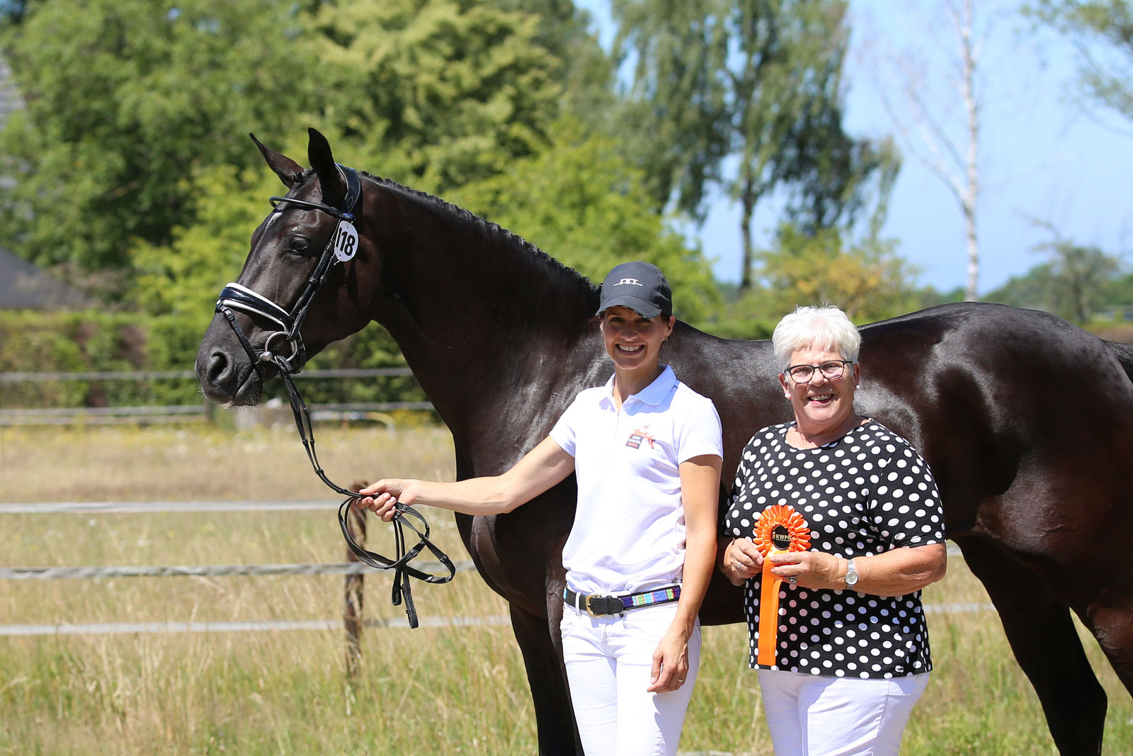 Product of the week: DressagePro supplements